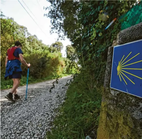  ?? Foto: Eduardo Sanz, dpa/Europa Press ?? Der Weg ist das Ziel – und im Falle des Jakobswegs auch die nordspanis­che Stadt Santiago de Compostela.