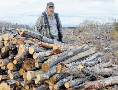  ?? LAWRENCE POWELL ?? Deryk Eagles stands by a pile of logs culled from the clear-cut on Hampton Mountain Road. He bought the land after the trees were harvested and, along with Adam Harris, sees the 86 acres as potential homesteads.