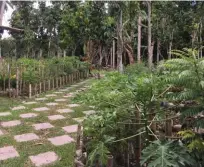  ??  ?? Manicured paths cut through the garden, allowing visitors to get a better glimpse of the fruits and herbs that will eventually make its way to their plates.