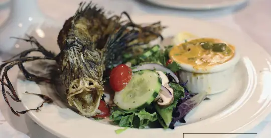  ??  ?? ABOVE: The lionfish appetizer at Chef Michael’s restaurant in Islamorada. A number of restaurant­s are helping fight the invasive species by putting it on their menus. LEFT: The Cat Man of Key West performs in Mallory Square.