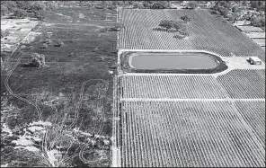  ?? AP/MARCIO JOSE SANCHEZ ?? An aerial photograph taken Saturday shows the damage from a wildfire that was stopped at the edge of a vineyard in Santa Rosa in Sonoma County, Calif.