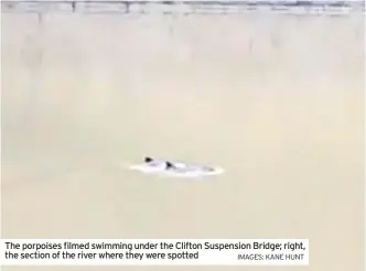  ?? IMAGES: KANE HUNT ?? The porpoises filmed swimming under the Clifton Suspension Bridge; right, the section of the river where they were spotted