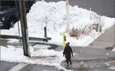  ?? Abbie Parr/Associated Press ?? A pedestrian with a dog crosses the street near a large pile of snow Monday in Minneapoli­s.