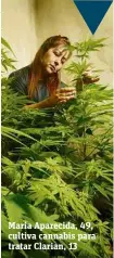  ??  ?? Maria Aparecida, 49, cultiva cannabis para tratar Clarian, 13