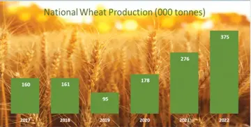  ?? ?? The country's wheat harvest has been systematic­ally increasing from 95 000 tonnes in 2019 to over 400 000 tonnes projected this year. — Source: MoFEDIP