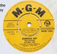  ??  ?? WHAT’S IN A NAME?: JETHRO TOE, ER, TULL’S
1968 DEBUT SINGLE.