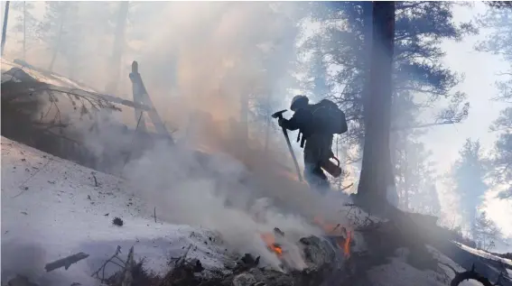  ?? ?? A member of the Mile High Youth Corps walks near a smoldering pile of tree debris during a controlled burn with the U.S. Forest Service in Hatch Gulch Wednesday, Feb. 23, 2022, near Deckers, Colorado. Photo: AP/Brittany Peterson, File.