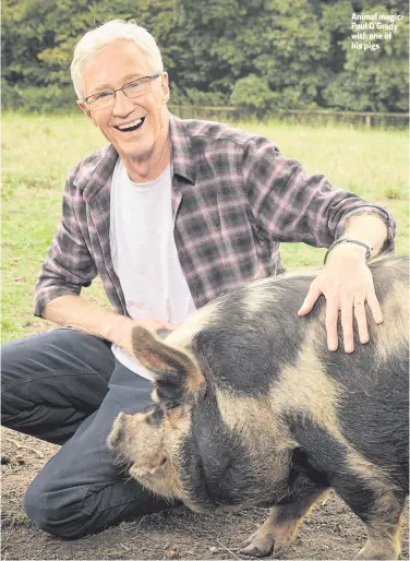  ??  ?? Animal magic: Paul O’Grady with one of his pigs