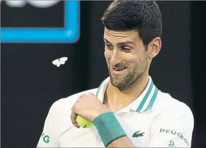 ?? FOTO: GETTY ?? Novak Djokovic recibió la visita de una mariposa durante el partido contra Karatsev, de nuevo con unos pocos aficionado­s en la pista