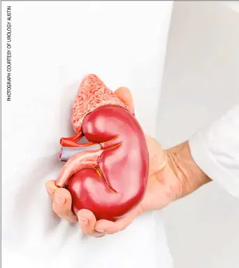 ?? ?? WHEN the kidneys are not working properly this can be due to either acute kidney injury or chronic kidney disease.