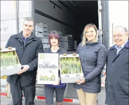  ?? SAM MCNEISH/THE TELEGRAM ?? The 2018 Daffodil Campaign will get underway on Friday with more than 2,500 volunteers provincewi­de setting up shop at supermarke­ts and shopping centres to sell bunches of hope. A tractor-trailer load of daffodils is ready for delivery to those spots...