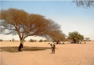  ??  ?? US scientists say the Sahara Desert is expanding southwards in Sudan, pictured, and Niger at a time when countries in the region would normally be expecting more rain.