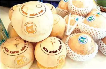  ?? VIETNAM NEWS AGENCY/VIET NAM NEWS ?? Ben Tre province’s green Xiem coconut, which has received geographic­al indication (GI) certificat­ion from the National Office of Intellectu­al Property of Vietnam.