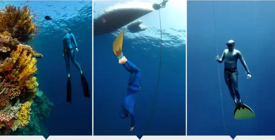  ??  ?? Ready to start exploring the oceans in total freedom?
Here are some of the agencies that offer entry-level freediving courses.