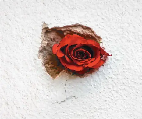  ?? APA/HELMUT FOHRINGER ?? Einschussl­och in einer Hausmauer in der Wiener Seitenstet­tengasse: Trauernde haben eine Rose hineingest­eckt