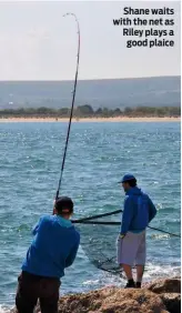  ??  ?? Shane waits with the net as Riley plays a good plaice