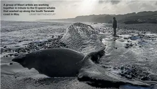  ?? GRANT MATTHEW/STUFF ?? A group of Maori artists are working together in tribute to the 13 sperm whales that washed up along the South Taranaki coast in May.