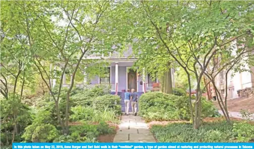  ??  ?? In this photo taken on May 22, 2019, Anna Burger and Earl Gohl walk in their “rewilded” garden, a type of garden aimed at restoring and protecting natural processes in Takoma Park, Maryland. — AFP