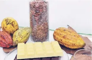  ?? CORTESÍA DE LA EMBAJADA DE RD ?? Dato. República Dominicana es líder mundial en exportació­n de cacao orgánico, fino y de aroma. En el 2017, el país exportó cacao por 86 millones de euros a la UE, de los cuales 28 millones o 32% ingresaron a Bélgica.