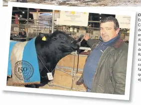  ??  ?? Chapoteand­o. Espartano, el Gran Campeón Macho de la raza Brangus en la pista central. Abajo, Cristian Vázquez, del área de genética de Rancho Grande, la cabaña cordobesa, de la familia Peyrano, que llevó al ejemplar.