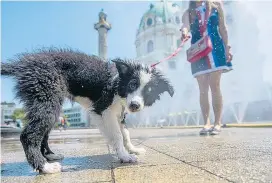  ?? ?? Der Immobilien­markt in Österreich überhitzt zunehmend. Die OeNB will zur Abkühlung strengere Regeln bei der Kreditverg­abe.