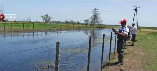  ??  ?? La pesca se dio en en la costa de enfrente. Había que pasar la vegetación de superficie y recoger lento, muy suavemente o con pequeños tironcitos, dependiend­o del artificial utilizado. Mucha atención para evitar los enganches.