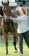  ?? PHOTO: TRISH DUNELL ?? Seventh Up with trainer Shelley Hale is seeking successive Easter Handicap wins at Pukekohe.