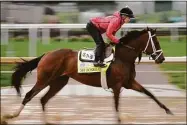  ?? Charlie Riedel / Associated Press ?? Kentucky Derby entrant Mo Donegal works out at Churchill Downs on Tuesday.