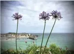  ?? ?? I took this photo on holiday in
St Ives. The light is always incredible, whatever the weather, and I was inspired to take a lot of pictures of the stunning Cornish scenery. We are so lucky to have such beautiful places to visit in this country. Jane Kersley