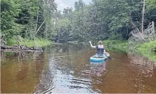  ??  ?? Enjoying an easy-going paddle down Arrowhead Provincial Park’s Little East River.