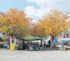  ??  ?? Die Bäume auf der Hochstatt sollen erhalten werden. Dafür werden die eckigen Sitzbänke durch runde Sitzgelege­nheiten ersetzt und teilweise „grobes Pflaster durch feinen Pflasterst­ein“.