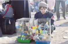  ?? — AFP ?? A boy, who was evacuated from the last rebel-held pockets of Aleppo, sits next to bird cages upon arriving in the opposition-controlled Khan al Assal region.