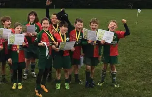  ??  ?? Members of the Portumna U-10s team that took part in an Aviva Blitz at Corinthian­s Park. Left: Portumna’s senior team and below, the U-15s girls team