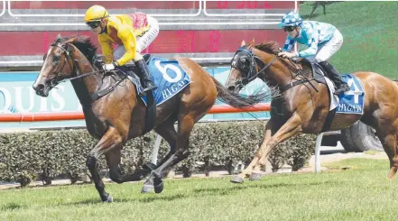  ?? Picture: MIKE BATTERHAM ?? Short-course specialist Darktown Strutter wins one of her four races at the Gold Coast.