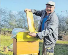  ?? FOTO: KARL-OTTO GAUGGEL ?? Die Honigbiene­n sind schon wieder aktiv: Hobbyimker Georg Miller schaut derzeit fast täglich nach seinen Völkern.