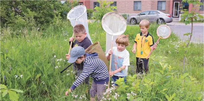  ?? LISE GOBEILLE ?? Situé dans le quartier du Mile-End, à Montréal, le Champ des possibles est un terrain vacant où la nature a repris ses droits.