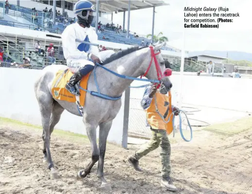  ?? (Photos: Garfield Robinson) ?? Midnight Galaxy (Ruja Lahoe) enters the racetrack for competitio­n.