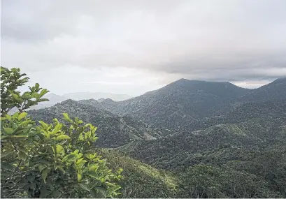  ?? STEPHEN HILTNER PHOTOS THE NEW YORK TIMES ?? The Sierra Nevada de Santa Marta, which surrounds Ciudad Perdida, is one of the world’s highest coastal mountain ranges.