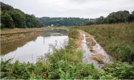  ?? ?? Land owned by National Trust at Cotehele Quay in Cornwall which is being intentiona­lly flooded. Photograph: Jonny Weeks/The Guardian