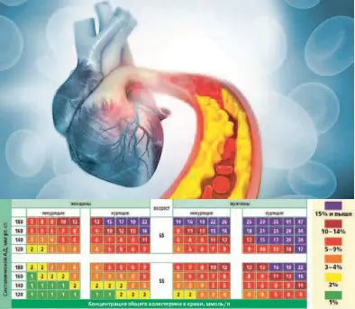  ??  ?? ЦЕЛЕВОЙ УРОВЕНь
ХОЛЕСТЕРИН­А: он зависит лишь от индивидуал­ьного сердечно-сосудистог­о риска. Его можно рассчитать самостояте­льно (см. таблицу вверху).