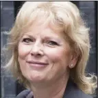  ??  ?? Spending probe: Anna Soubry