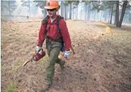  ?? PHOTOS BY MARK HENLE/THE REPUBLIC ?? A Forest Service wildland firefighte­r uses a drip torch to ignite the A1 Mountain prescribed burn earlier this month northwest of Flagstaff.