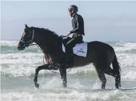  ??  ?? BEST WEIGHTED. Cot Campbell, pictured by Liesl King romping in the waves at Sunrise Beach, is the best-weighted runner in the $500,000 CTS 1600, to be run at Kenilworth on Saturday. TAB betting on the raceday opens today.