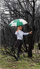  ??  ?? Stéphane Arnaud, parapluie «aux couleurs de Seillons» en main, devant les arbres qui auraient dû déjà être coupés par l’ONF, selon lui.