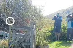  ??  ?? Twitchers snap the flycatcher on Clare Jones’ gate