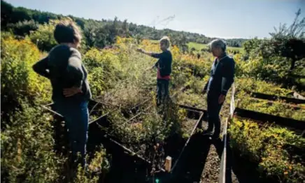  ?? FOTO: ERIK LEJDELIN ?? TIPS. Susanne Nilsson och systern Annika Bayard berättar om sina planer för lotten för Ethel Bengtsson: ”Bra nybörjargr­ödor är squash, potatis och lök.”