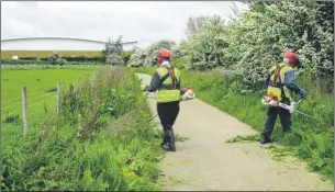  ??  ?? Volunteers David Mann and Jim Garrett managing docks and creeping thistle