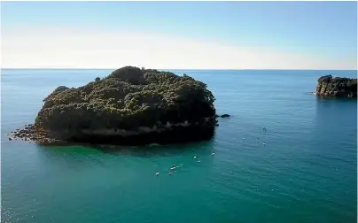  ??  ?? The long-term aim is to get tuatara back to Whenuakura, also known as Donut Island, which is becoming a popular spot for tourists.