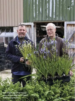  ??  ?? Alan Street and Chris IrelandJon­es with a selection of Avon Bulbs spring flowers.