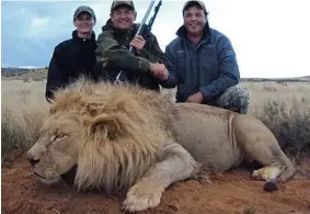  ??  ?? Big game hunters: Three men shake hands over the body of a lion